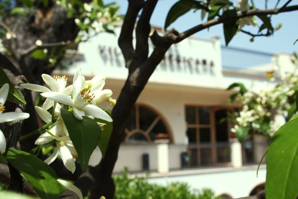 Park Hotel Villa Americana Rodi Garganico Exteriér fotografie